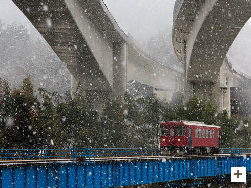 “當地火車在雪地上”