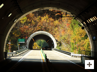 "Amazing autumn leaves continue"