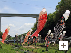 "Carp decoration"