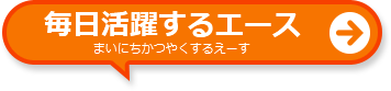 毎日活躍するエース