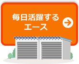 毎日活躍するエース