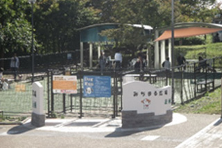 ドッグラン 東名 EXPASA足柄(下り)
