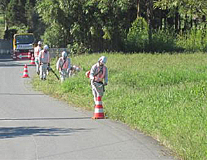 新地町での草刈りの状況