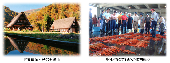 世界遺産・秋の五箇山の写真・射水べにずわいがに初競りの写真