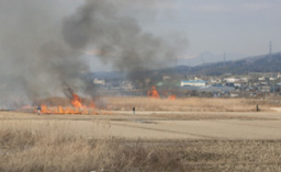 昔ながらの野焼きの光景